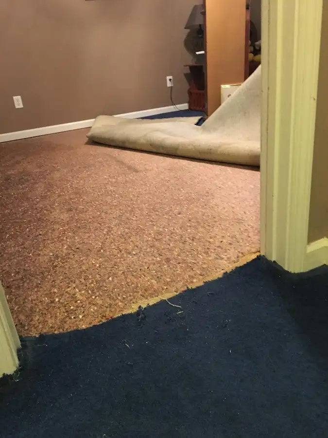 Carpet pad removal revealing water damage during Water Mitigation Services in Andrews
