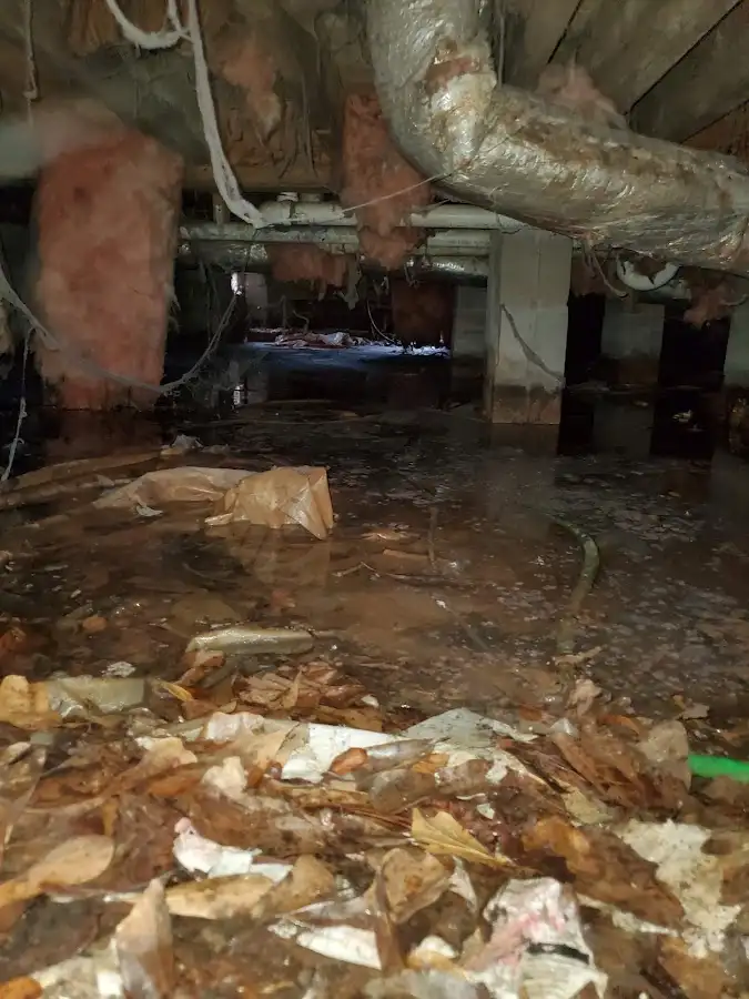Crawl space flood assessment for Commercial Water Damage Restoration in Andrews